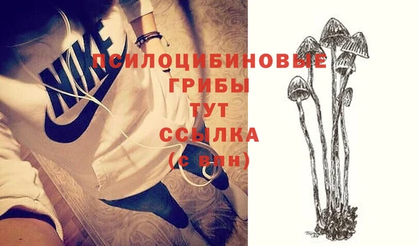 прущие крисы Лабытнанги